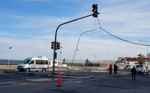 Por las fuertes ráfagas, se cayeron dos palmas de alumbrado público