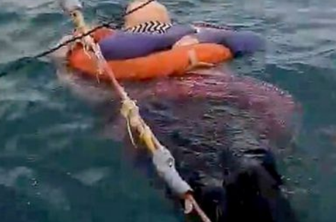 Encontraron a una mujer desaparecida hace dos años flotando en el mar