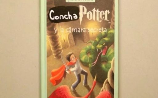 Le cambió todos los “Harry” por “Concha” a los libros de Harry Potter y los vende a 23 mil pesos