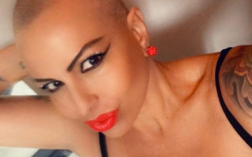 Daniela Cardone busca rescatar a la elefanta del zoológico de Luján