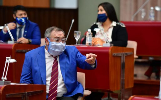 Para Ingram “achicar sueldos en Diputados no cambia nada”