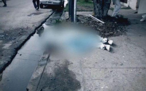 Un policía jubilado mató por error a un empleado de un frigorífico mientras perseguía a ladrones