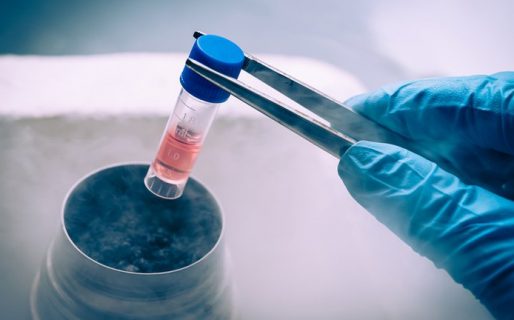 Piden inscribir como hijo de dos padres a un niño nacido tras una donación de óvulos y gestación por sustitución