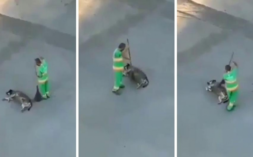 Barrendero hace un alto en sus labores para «peinar» a un perro callejero con su escoba