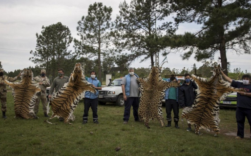 Entre Ríos: en un zoológico mataron a los animales por sus pieles