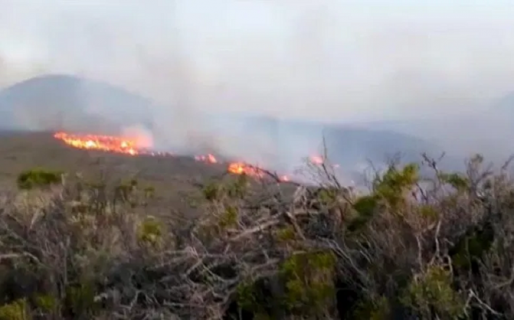Incendio arrasó con varias hectáreas de Los Manantiales