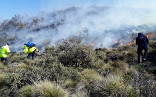 Prefectura y Defensa Civil lograron controlar el incendio en un campo al norte de la ciudad