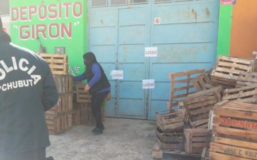 Clausuraron un depósito de verduras abierto durante la madrugada y secuestraron 14 vehículos