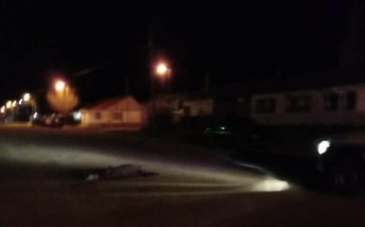 Homicidio en Gobernador Costa: Un hombre recibió varias puñaladas al querer ingresar a la fuerza a un domicilio