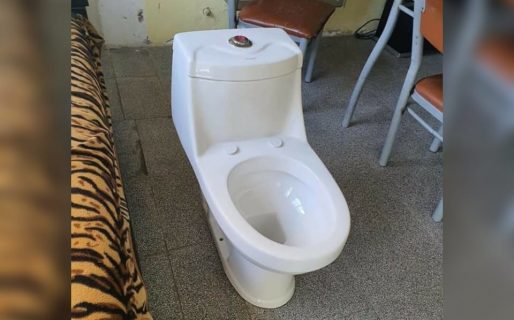 Cayó “la banda de los inodoros”