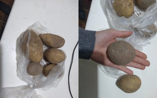 No está para puré: compró una bolsa de papas y le vino con una piedra adentro