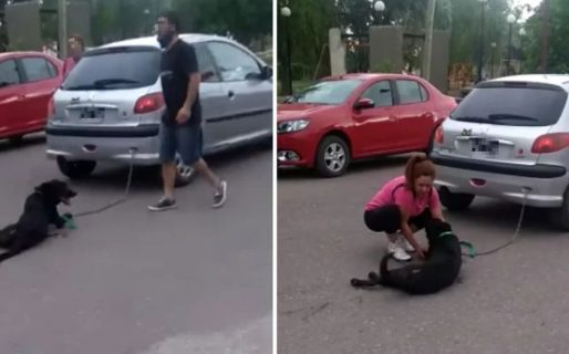 Una mujer encadenó a su perro al auto y lo arrastró durante siete cuadras