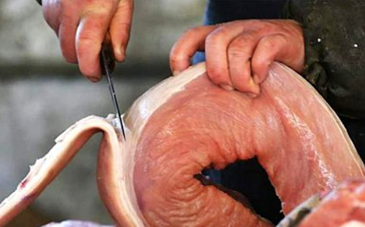 ¿Adiós al lechón de fin de año? La carne de cerdo aumentó 60,2% en lo que va del año