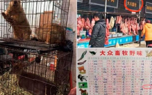 ¿Buscan otra pandemia? Sin control sanitario, opera nuevamente el Mercado de Wuhan