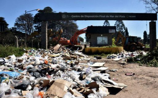 Encuentran el cuerpo mutilado de un recién nacido