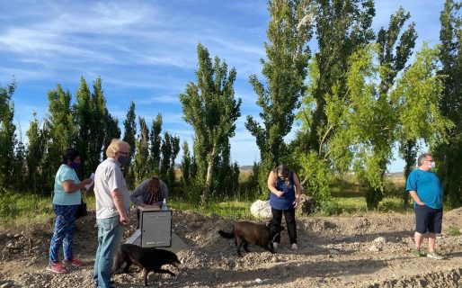 Quitar el espacio verde de Palazzo «va en contra de lo que el Municipio plantea de forestar Comodoro”