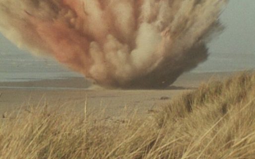 El día que llovió carne podrida sobre Oregon: A 50 años de la fallida explosión de una ballena de 14 metros