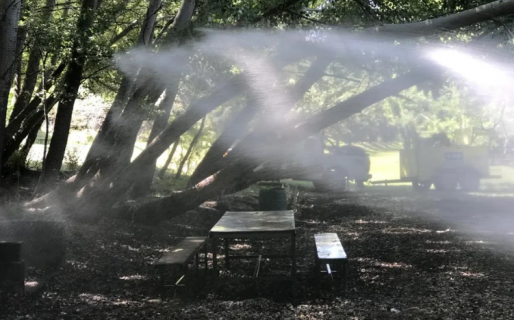 Se incendió el camping «El Feeney»