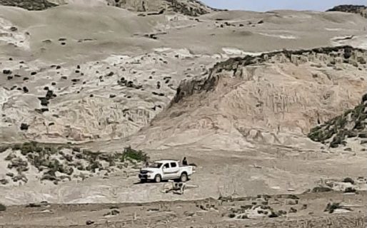 Denuncian que robaron troncos petrificados este domingo en Rocas Coloradas