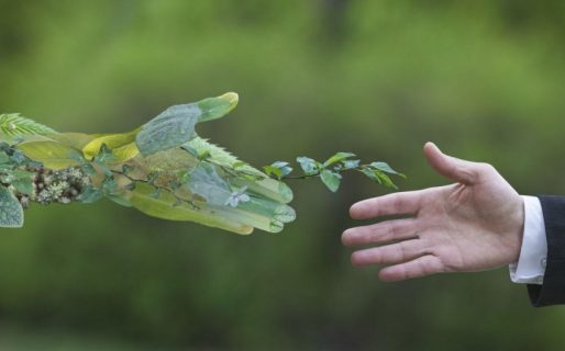 Concejales radatilenses presentan proyecto para que la Legislatura adhiera a la Ley Yolanda