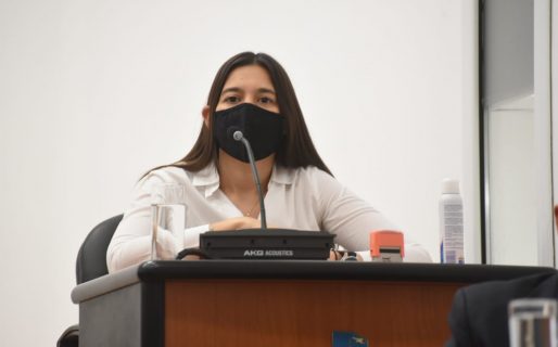 Guerreiro: «el proyecto contempla el derecho a licencias por violencia de género»