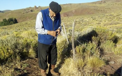 “El misterio es cómo el virus llegó hasta el medio de la nada”