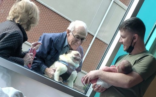 El perrito que se emociona al conocer al nuevo integrante de la familia