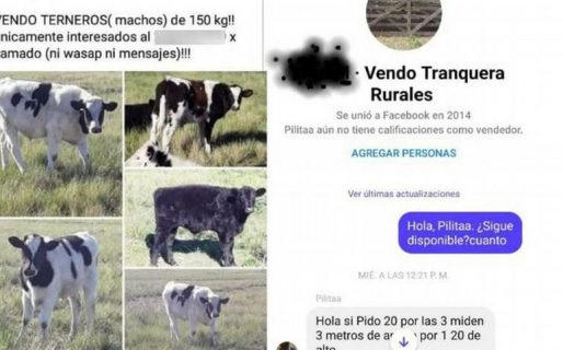 Una pareja de productores rurales denunció que usurparon su campo y venden su ganado por Facebook