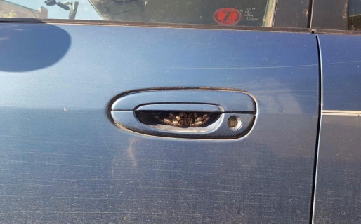 Pasó una semana sin conducir tras encontrarse con un espeluznante ‘intruso’ en su auto