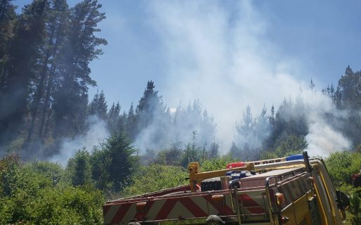 Epuyén: brigadistas combaten un importante incendio forestal