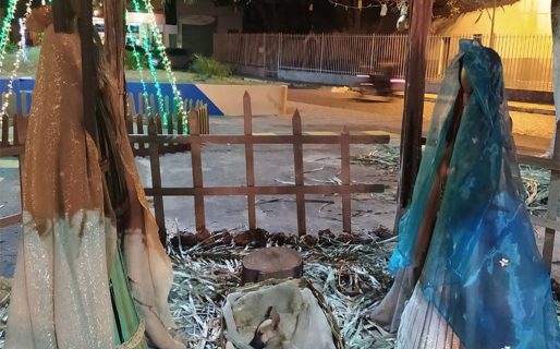 Un perro callejero apareció durmiendo en la cuna de un pesebre, se hizo viral y ocurrió un “pequeño milagro” navideño