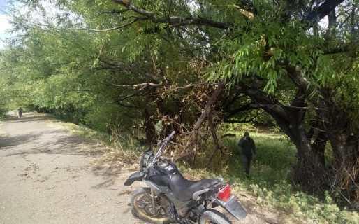 Tras la muerte de Aluminé Sarmiento está «conmocionado»