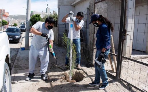 Con gran éxito el Municipio concretó la última jornada de plantación del año