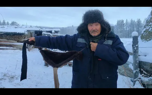 ¡Buena idea contra el frío! Granjero confecciona sostenes de lana a sus vacas para mantenerlas calientes