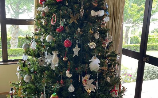 Coronavirus: más de 2700 santacruceños pasaran Navidad aislados