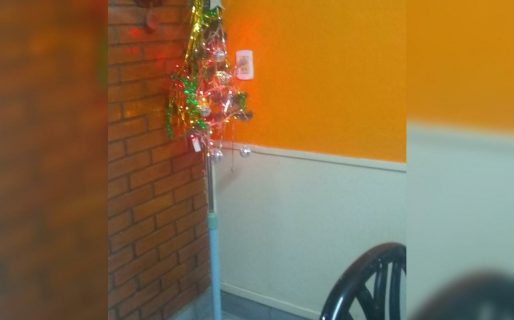Dijo que su árbol de Navidad era feo y le mostraron decenas de arbolitos «peores»