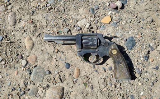 Amenazó a su hermano con un arma, le disparó a la policía y huyó