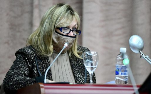 «Nosotros hemos hecho muchos aportes a este proyecto»