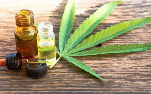 Aprobaron la creación del Programa de Cultivo y Producción de Cannabis para Fines Medicinales