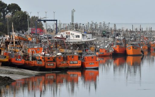 Denunciaron por lavado de dinero a empresarios de la pesca de Rawson