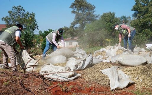 Desbarataron un millonario fraude con palitos de yerba mate de descarte