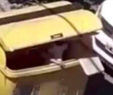 Un hombre intentó abusar de una nena en un contenedor de basura