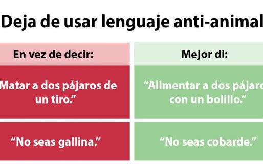Animalistas pidieron dejar de usar “lenguaje violento hacia los animales”
