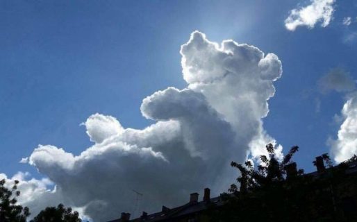 ¿Ves el oso? Una radatilense se hizo viral por una curiosa imagen