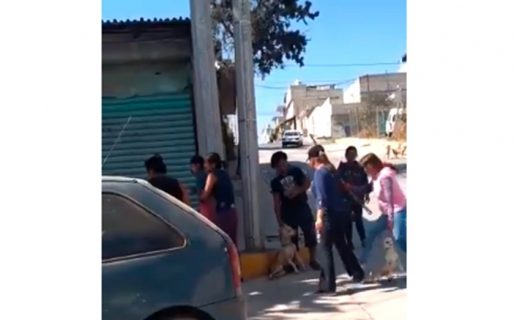 Mujeres mataron a palazos a un pitbull que mordió a un perrito chihuahua