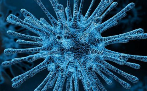 OMS advirtió por futuras pandemias «peores» que la del coronavirus