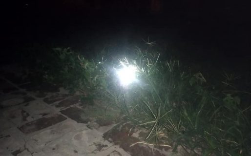 Se cansó de perder a su tortuga a la noche y tuvo una idea brillante