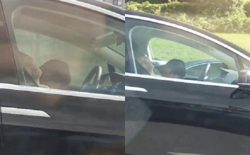 Auto que se “maneja solo” mientras su conductor y copiloto duermen en video viral divide a las redes sociales