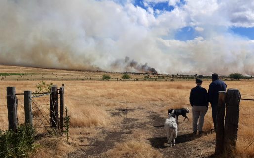 El fuego avanza rápidamente  en la zona del Faldeo en Trevelin