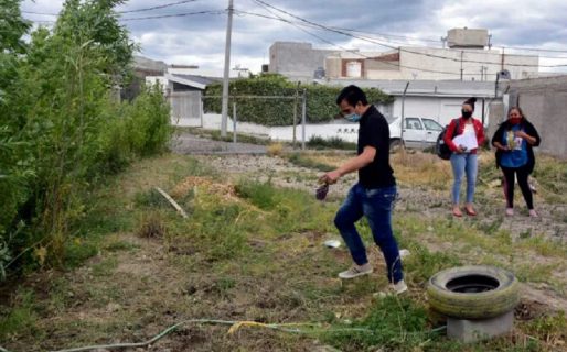 En km. 8 se robaron el invernáculo entero de una escuela